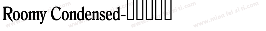 Roomy Condensed字体转换